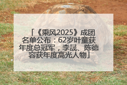 《乘风2025》成团名单公布：62岁叶童获年度总冠军，李晟、陈德容获年度高光人物