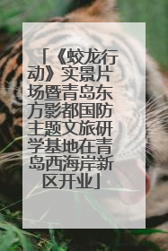 《蛟龙行动》实景片场暨青岛东方影都国防主题文旅研学基地在青岛西海岸新区开业
