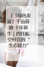 「绿色发展」千亩荷塘 十年新生｜四任航空村官的“生态接力”