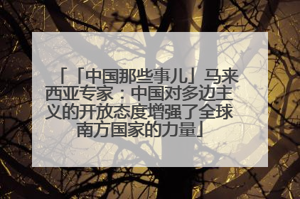 「中国那些事儿」马来西亚专家：中国对多边主义的开放态度增强了全球南方国家的力量