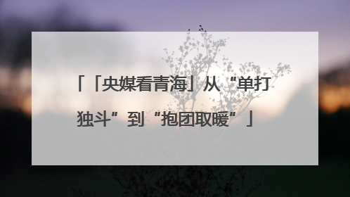 「央媒看青海」从“单打独斗”到“抱团取暖”