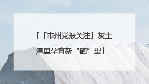 「市州党报关注」灰土渣里孕育新“硒”望