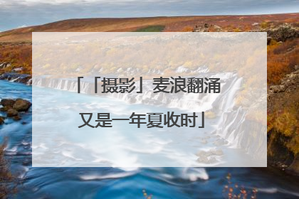 「摄影」麦浪翻涌 又是一年夏收时