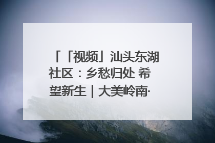 「视频」汕头东湖社区：乡愁归处 希望新生｜大美岭南·百村焕新记