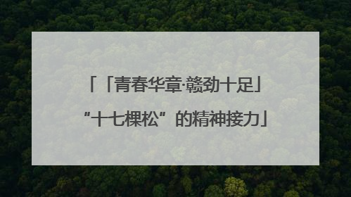 「青春华章·赣劲十足」“十七棵松”的精神接力
