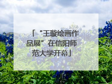 “王璇绘画作品展”在信阳师范大学开幕