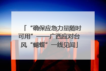 “确保应急力量随时可用”——广西应对台风“蝴蝶”一线见闻