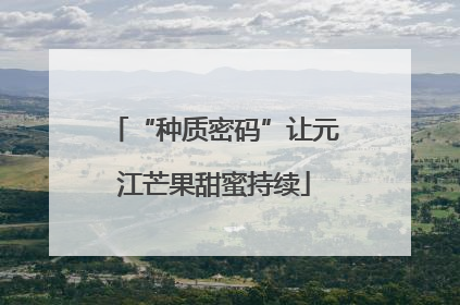 “种质密码”让元江芒果甜蜜持续