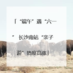 “端午”遇“六一” 长沙南站“亲子游”热度高涨