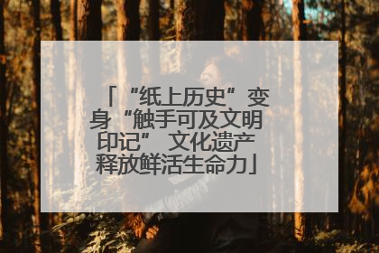 “纸上历史”变身“触手可及文明印记” 文化遗产释放鲜活生命力