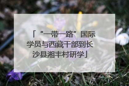 “一带一路”国际学员与西藏干部到长沙县湘丰村研学