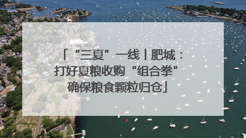 “三夏”一线丨肥城：打好夏粮收购“组合拳” 确保粮食颗粒归仓