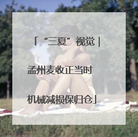 “三夏”视觉｜孟州麦收正当时 机械减损保归仓