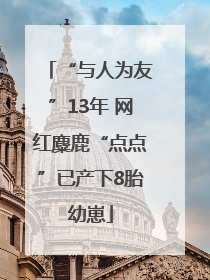 “与人为友”13年 网红麋鹿“点点”已产下8胎幼崽