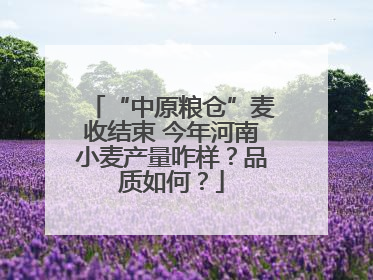 “中原粮仓”麦收结束 今年河南小麦产量咋样？品质如何？
