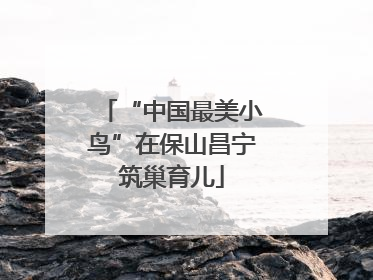 “中国最美小鸟”在保山昌宁筑巢育儿