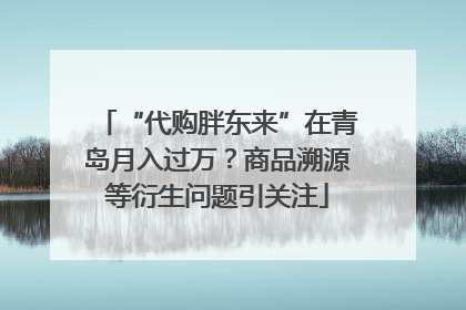 “代购胖东来”在青岛月入过万？商品溯源等衍生问题引关注