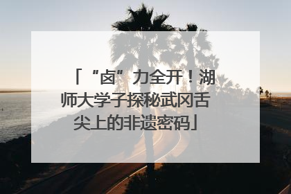 “卤”力全开！湖师大学子探秘武冈舌尖上的非遗密码