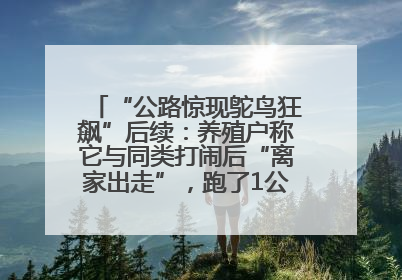 “公路惊现鸵鸟狂飙”后续：养殖户称它与同类打闹后“离家出走”，跑了1公里被找回