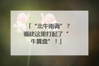 “北牛南调”？福建这里打起了“牛算盘”！