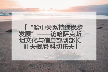 “哈中关系持续稳步发展”——访哈萨克斯坦文化与信息部副部长叶夫根尼·科切托夫