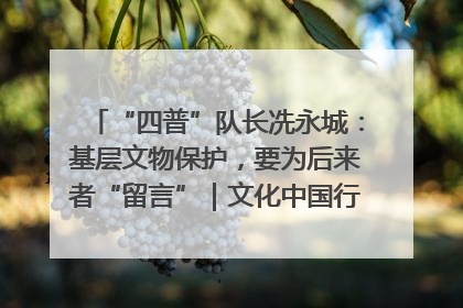 “四普”队长冼永城：基层文物保护，要为后来者“留言”｜文化中国行·我在广东找文物
