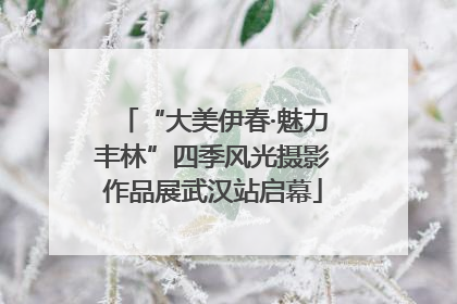 “大美伊春·魅力丰林”四季风光摄影作品展武汉站启幕