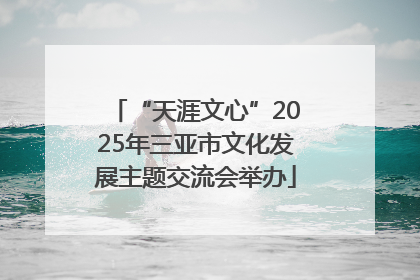 “天涯文心”2025年三亚市文化发展主题交流会举办