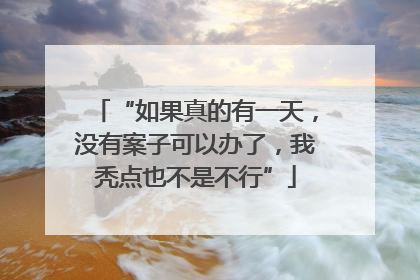 “如果真的有一天，没有案子可以办了，我秃点也不是不行”