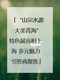 “山宗水源·大美青海”特色展亮相上海 多元魅力引客商聚焦