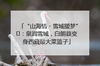 “山海情・雪域援梦”⑪：泉润雪域，白朗县变身西藏最大菜篮子