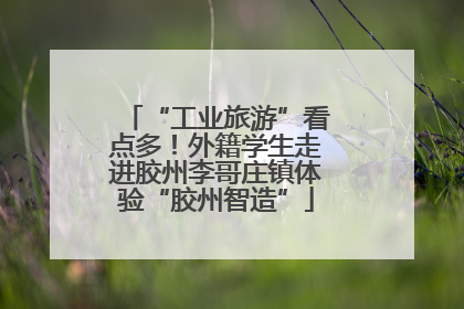 “工业旅游”看点多！外籍学生走进胶州李哥庄镇体验“胶州智造”