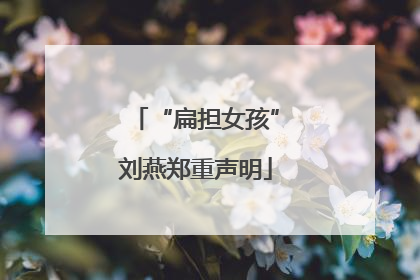“扁担女孩”刘燕郑重声明