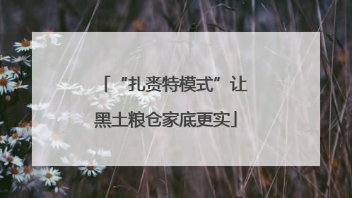 “扎赉特模式”让黑土粮仓家底更实