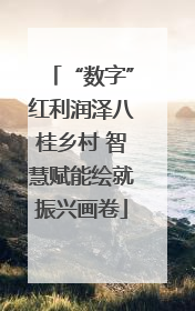 “数字”红利润泽八桂乡村 智慧赋能绘就振兴画卷