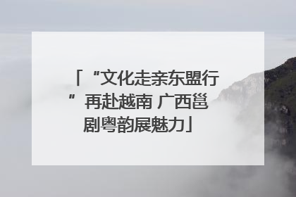 “文化走亲东盟行”再赴越南 广西邕剧粤韵展魅力