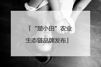 “楚小田”农业生态链品牌发布