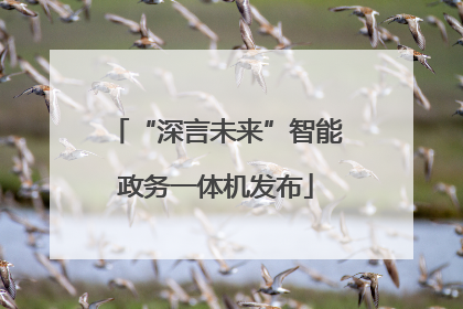 “深言未来”智能政务一体机发布