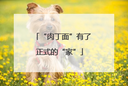 “肉丁面”有了正式的“家”