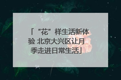 “花”样生活新体验 北京大兴区让月季走进日常生活