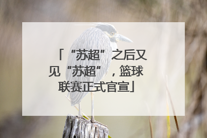 “苏超”之后又见“苏超”，篮球联赛正式官宣