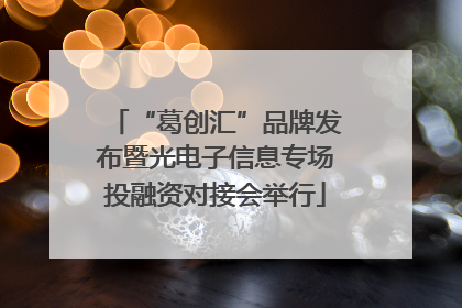 “葛创汇”品牌发布暨光电子信息专场投融资对接会举行
