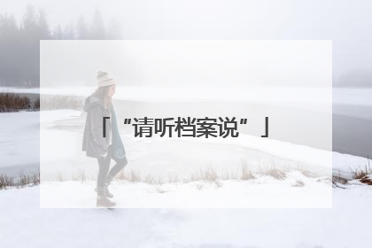 “请听档案说”