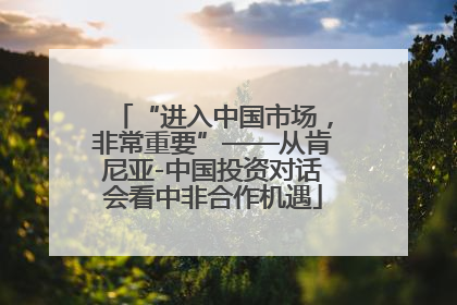 “进入中国市场，非常重要”——从肯尼亚-中国投资对话会看中非合作机遇