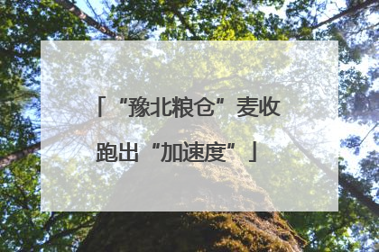 “豫北粮仓”麦收跑出“加速度”