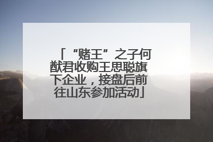 “赌王”之子何猷君收购王思聪旗下企业，接盘后前往山东参加活动