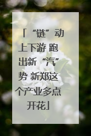 “链”动上下游 跑出新“汽”势 新郑这个产业多点开花