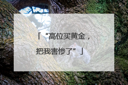 “高位买黄金，把我害惨了”