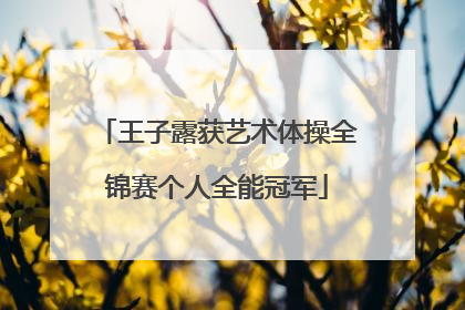 王子露获艺术体操全锦赛个人全能冠军