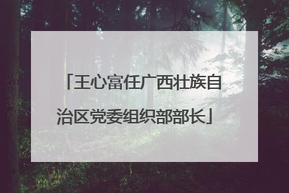 王心富任广西壮族自治区党委组织部部长